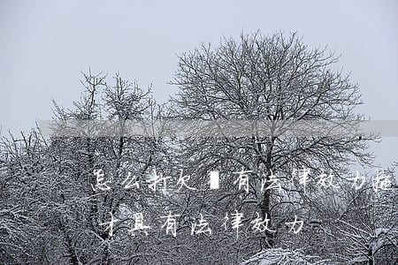 怎么打欠條有法律效力(拖欠工資怎么打欠條才具有法律效力)