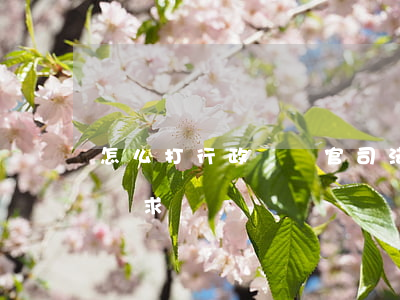 怎么打行政訴訟官司(法院如何處理行政訴訟請求)