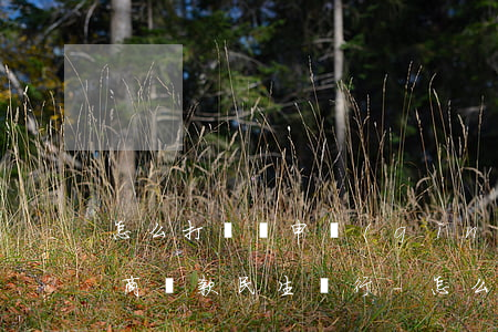 怎么打電話申請(qǐng)協(xié)商還款民生銀行-怎么打電話申請(qǐng)協(xié)商還款民生銀行信用卡