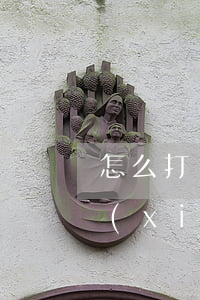 怎么打電話跟招行協(xié)商-招行協(xié)商打什么電話