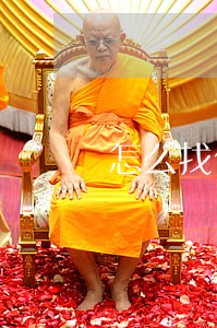 怎么找代理律師(律師代理人)
