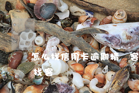 怎么找信用卡逾期精準客戶-辦信用卡怎么找客戶