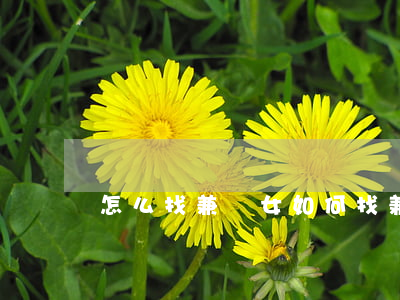 怎么找兼職女(如何找兼職)