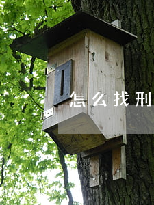 怎么找刑事律師(怎么找刑事律師咨詢)