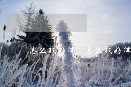 怎么找好律師(怎么找好律師咨詢)