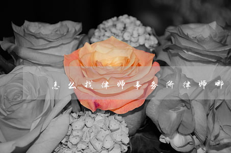 怎么找律师事务所(律师哪里找)
