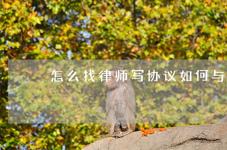 怎么找律师写协议(如何与律师签订协议)