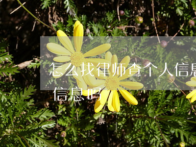 怎么找律师查个人信息(找律师可以查到个人信息吗)