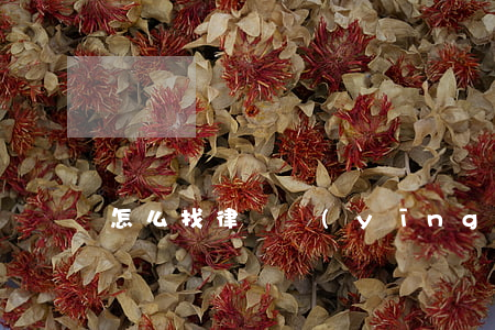 怎么找律師應(yīng)訴(怎么告律師)