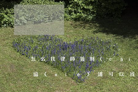 怎么找律師簽財(cái)產(chǎn)協(xié)議(可以找律師寫協(xié)議嗎)