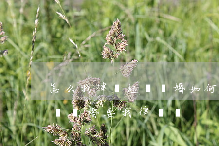 怎么找律師起訴離婚(如何去法院起訴離婚 訴訟離婚要找律師嗎)