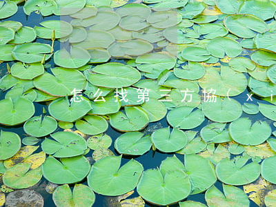 怎么找第三方協(xié)商還款