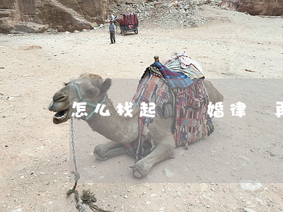 怎么找起訴離婚律師再審