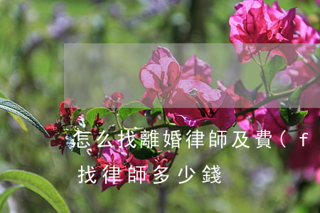 怎么找離婚律師及費(fèi)用(離婚官司找律師多少錢)
