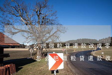 怎么把微粒貸還款改成零錢優(yōu)先-怎么把微粒貸還款改成零錢優(yōu)先還款