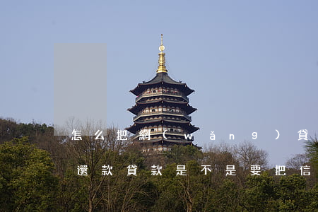 怎么把網(wǎng)貸和信用卡欠款停息還款(貸款是不是要把信用卡網(wǎng)貸還清嗎)
