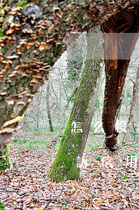 怎么投訴信用卡逾期收費(fèi)(怎么投訴信用卡逾期收費(fèi)不)