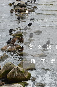 怎么投訴逾期貸款人(信用貸款逾期了銀行起訴了怎么辦)