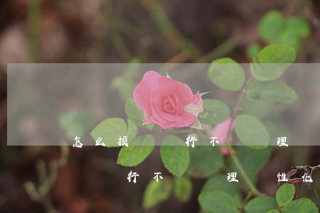 怎么投訴銀行不給辦理個性化分期-怎么投訴銀行不給辦理個性化分期業(yè)務