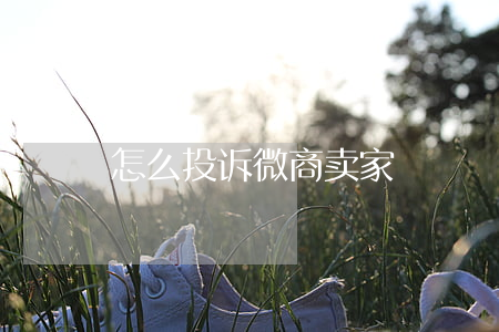 怎么投诉微商卖家