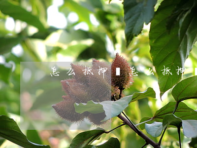 怎么抵押車(怎么抵押車子安全)