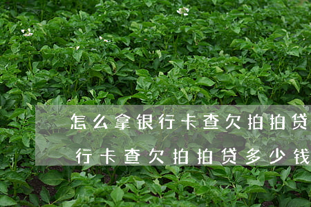 怎么拿银行卡查欠拍拍贷多少钱-怎么拿银行卡查欠拍拍贷多少钱了