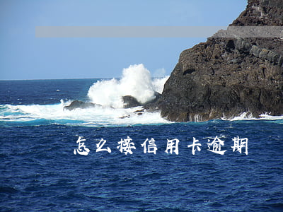 怎么接信用卡逾期訂單(信用卡賬單逾期怎么辦)