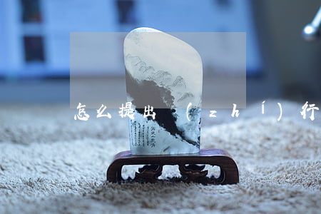 怎么提出執(zhí)行異議