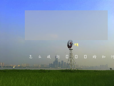 怎么提起訴訟離婚(如何向法院提起訴訟離婚)