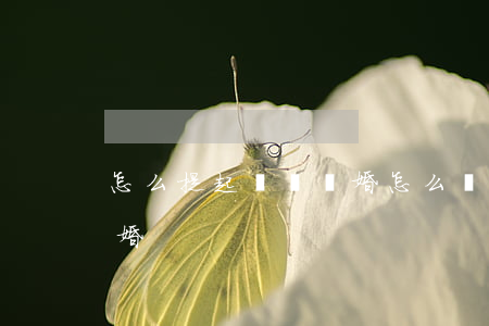 怎么提起訴訟離婚(怎么發(fā)起訴訟離婚)