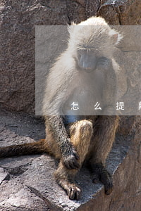 怎么提離職