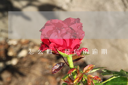 怎么撤銷征信的逾期記錄