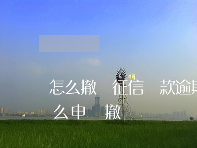 怎么撤銷征信貸款逾期(房貸逾期上征信了怎么申請撤銷)