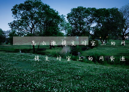 怎么撤销支付宝上的网贷逾期记录-怎么撤销支付宝上的网贷逾期记录呢