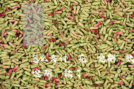 怎么支付寶花唄逾期還款-怎么支付寶花唄逾期還款了