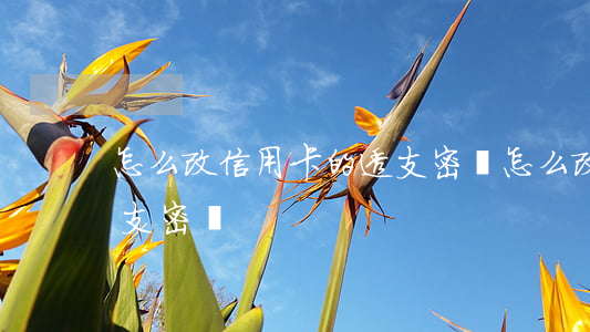 怎么改信用卡的透支密碼(怎么改信用卡的透支密碼)