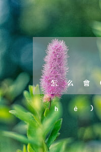 怎么會(huì)構(gòu)成開設(shè)賭場(開設(shè)賭場如何定罪)