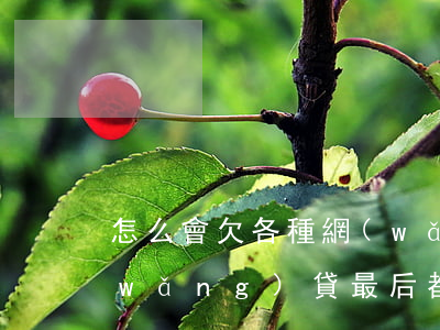 怎么會欠各種網(wǎng)貸(那些欠網(wǎng)貸最后都怎么樣了)