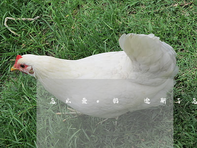 怎么查e招貸逾期了 怎么查e招貸借款記錄