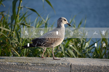 怎么查一個(gè)人有沒(méi)有注冊(cè)公司(怎樣去查一個(gè)公司的注冊(cè)信息)