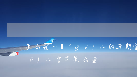怎么查一個(gè)人的近期官司(查個(gè)人官司怎么查)