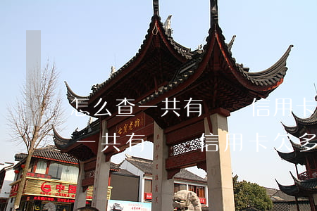 怎么查一共有幾張信用卡欠多少錢-怎么查一共有幾張信用卡欠多少錢呢