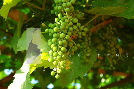 怎么查中信信用卡逾期 怎么查中信信用卡逾期没有