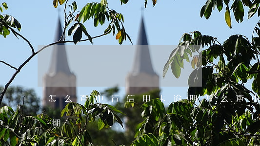 怎么查中行信用卡逾期(怎么查中行信用卡逾期記錄)
