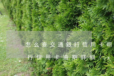 怎么查交通銀行信用卡明細(xì)（交通銀行信用卡逾期詳細(xì)怎么查）