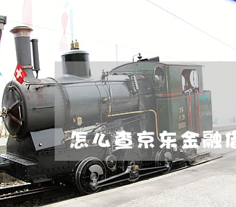 怎么查京东金融借款（京东借钱逾期怎么查询）