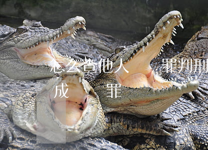 怎么查他人詐騙罪判刑(怎樣算構(gòu)成詐騙罪)