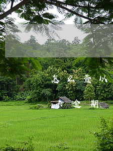 怎么查以前信用卡逾期記錄（怎么樣查詢信用卡逾期記錄）