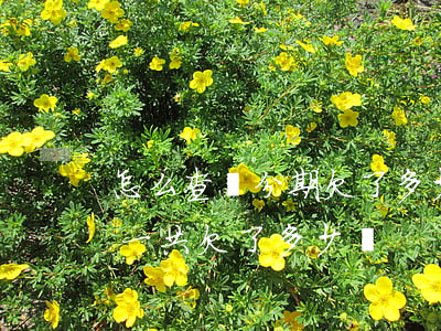 怎么查來分期欠了多少錢(來分期怎么看自己一共欠了多少錢)