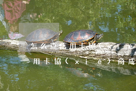 怎么查信用卡協(xié)商成功（怎么看信用卡協(xié)商成功）